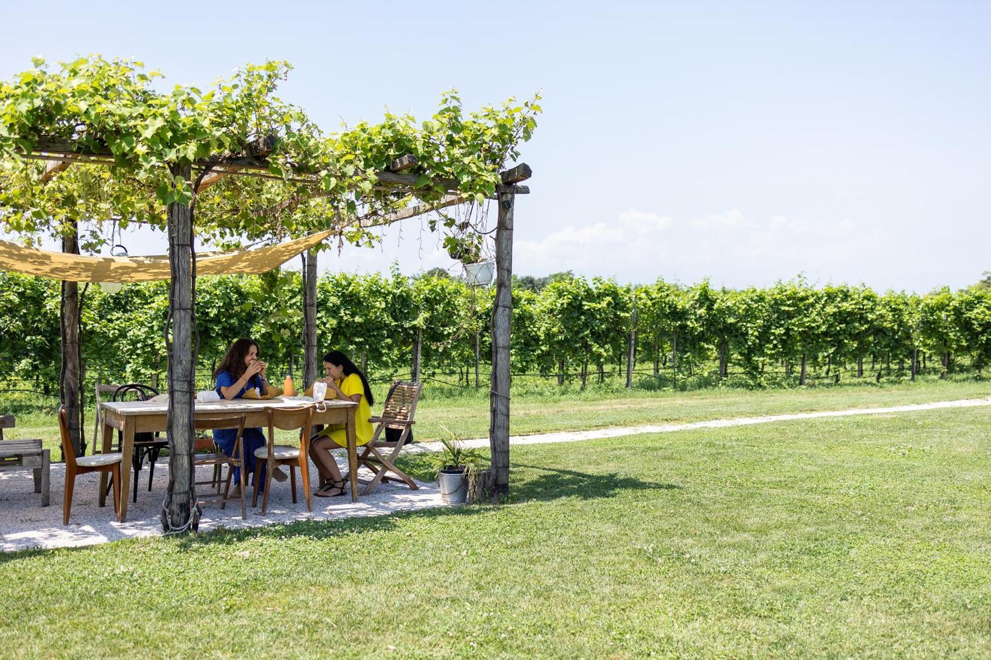 Agriturismo Da Zeffi Spresiano Экстерьер фото